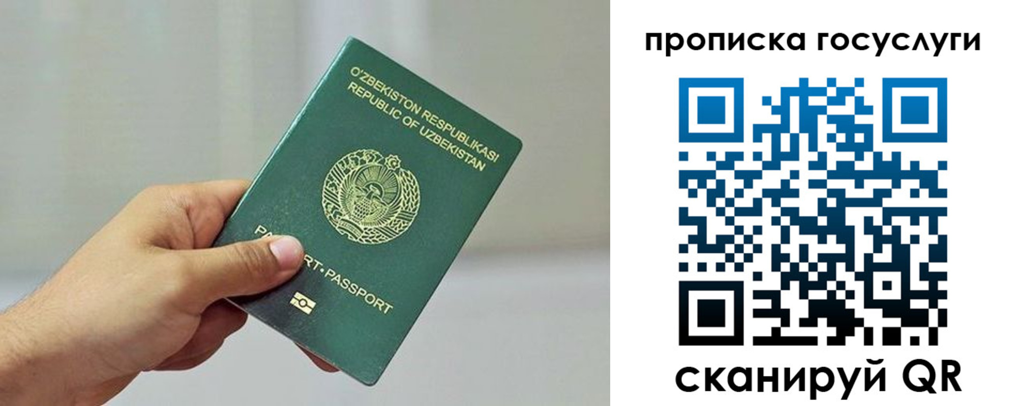 временная регистрация адрес в Благодарном